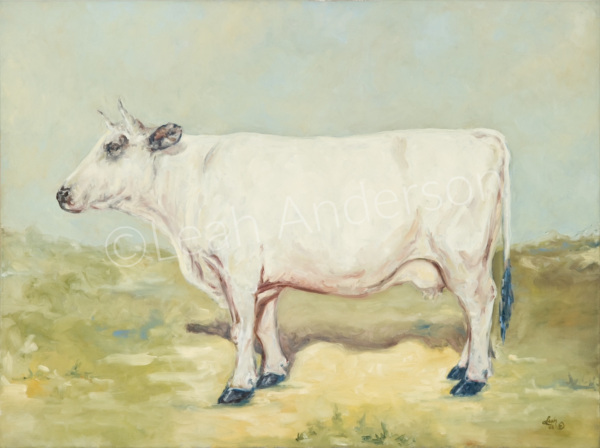 Belle Blanc Cow painting by Leah Anderson.