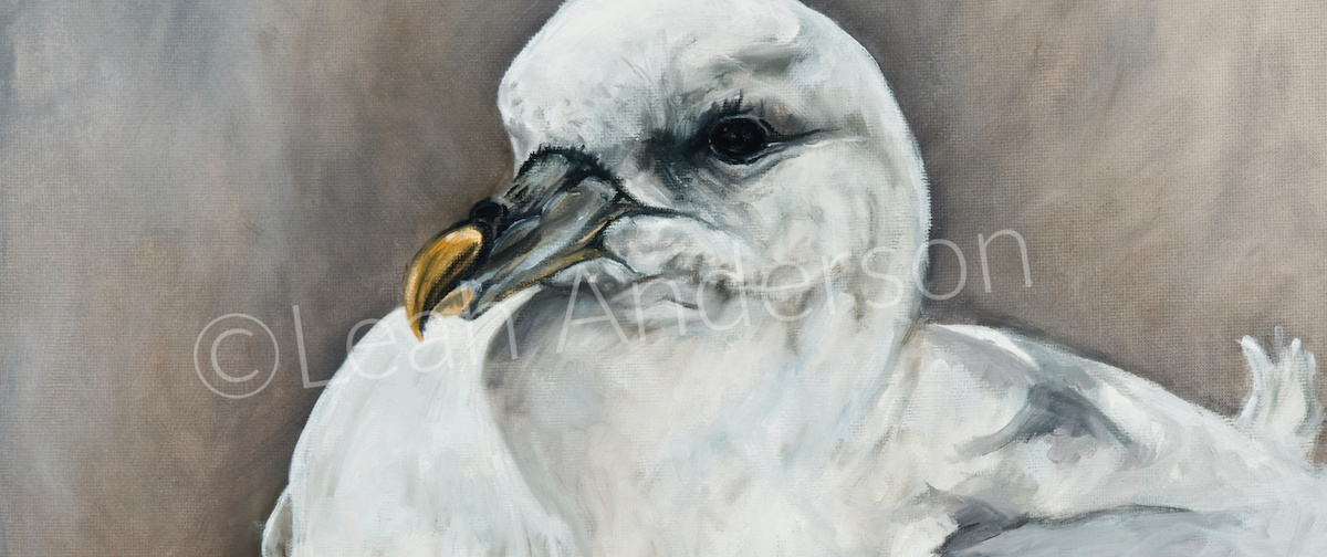 Cropped Seagull painting by Leah Anderson