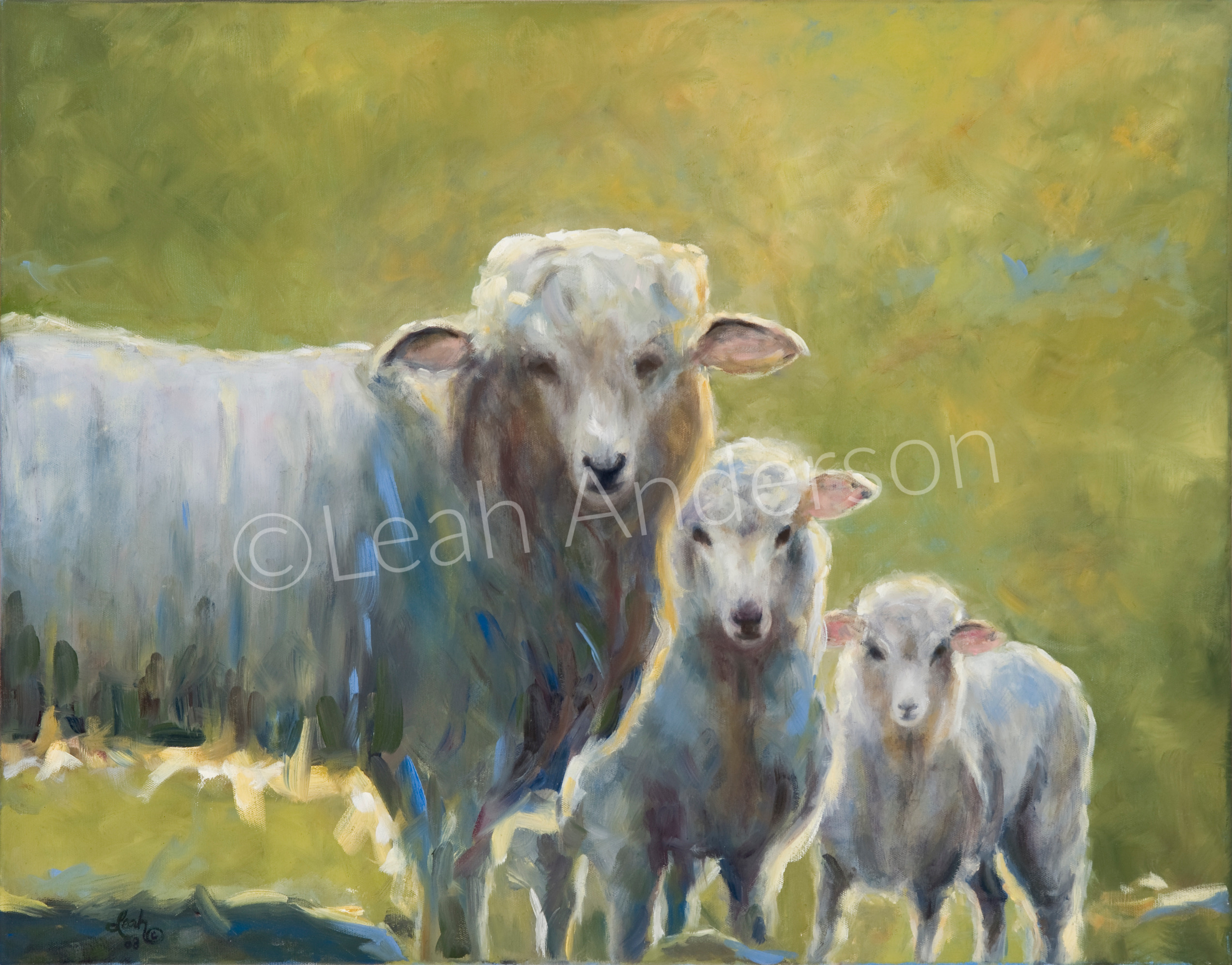 Three Sheep painting by Leah Anderson.